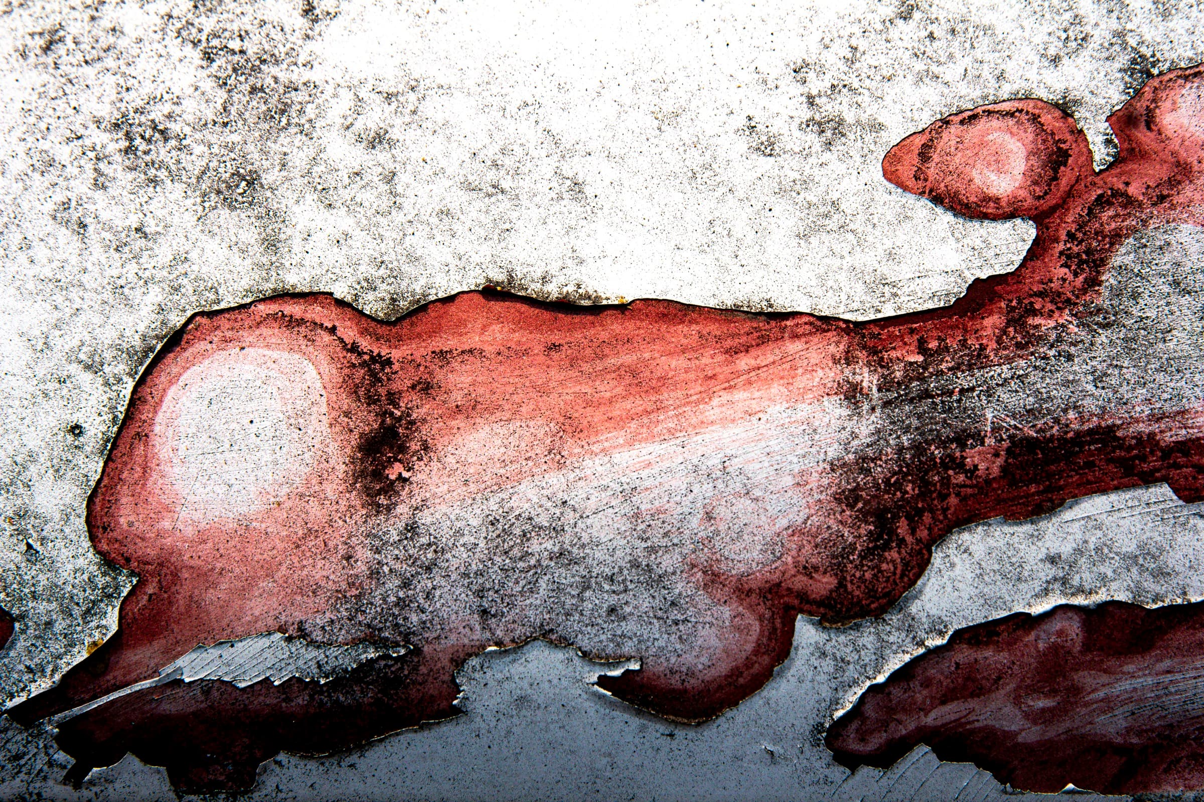 Study II